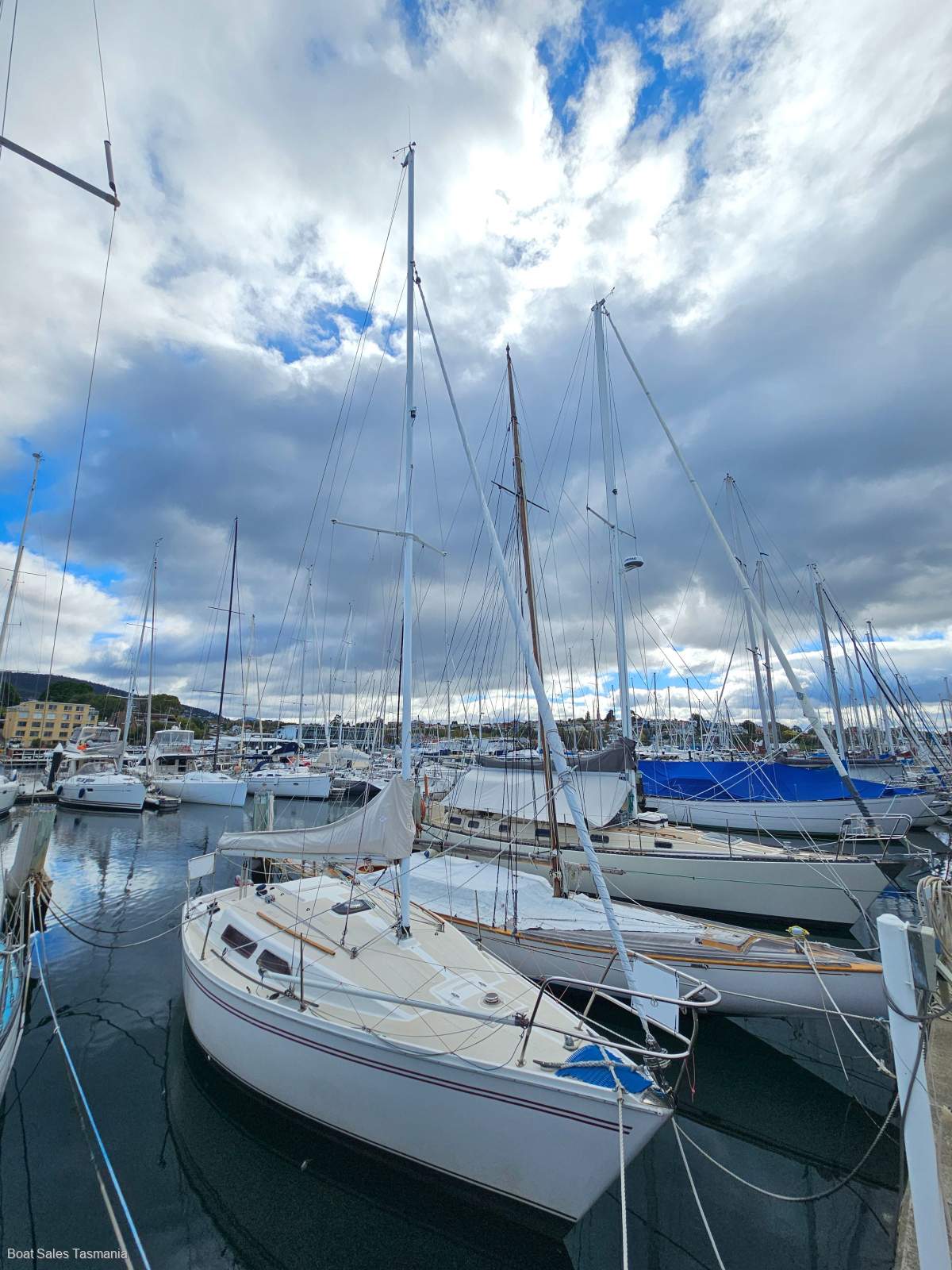 Northshore 27 Spinner