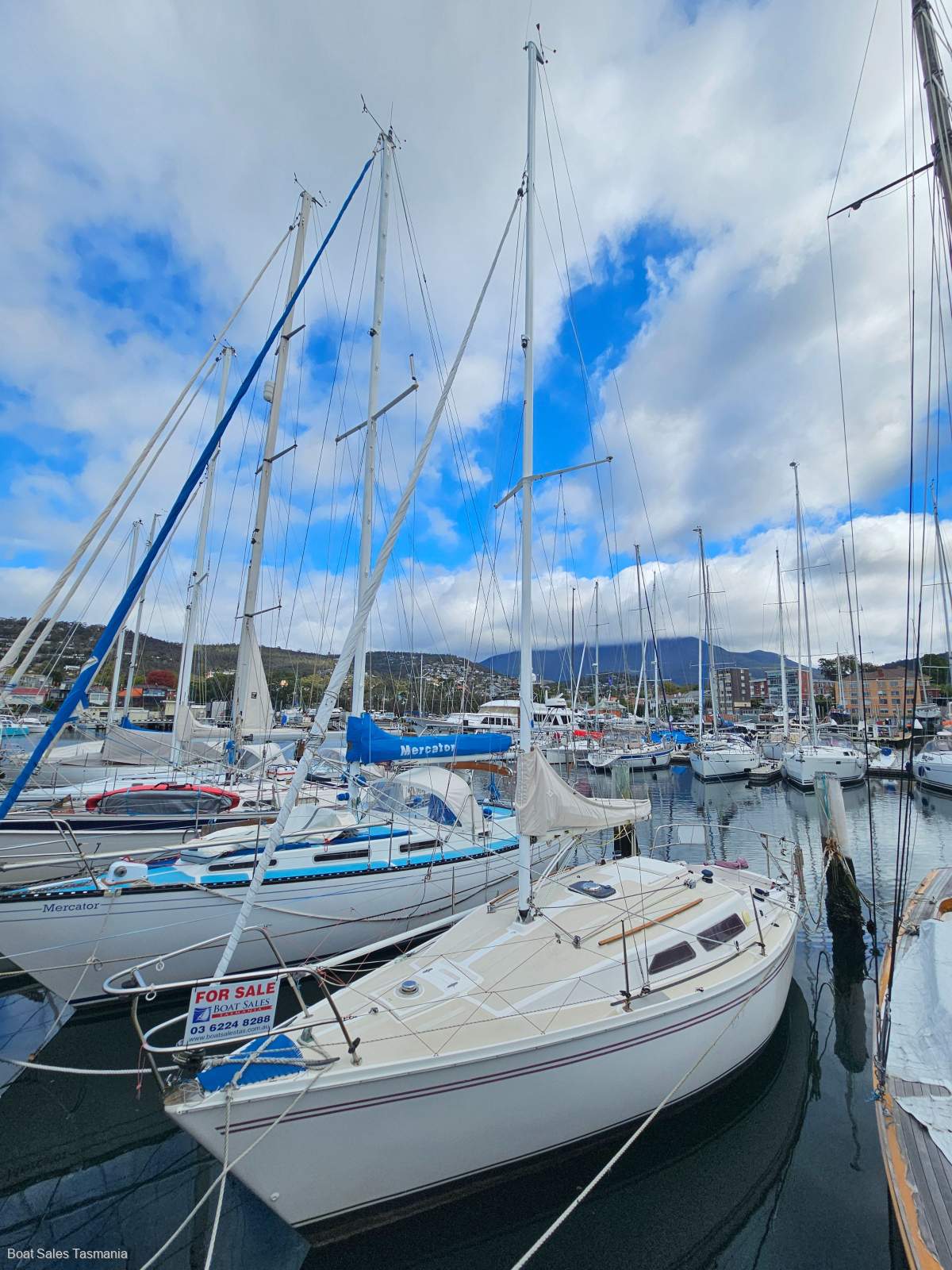 Northshore 27 Spinner