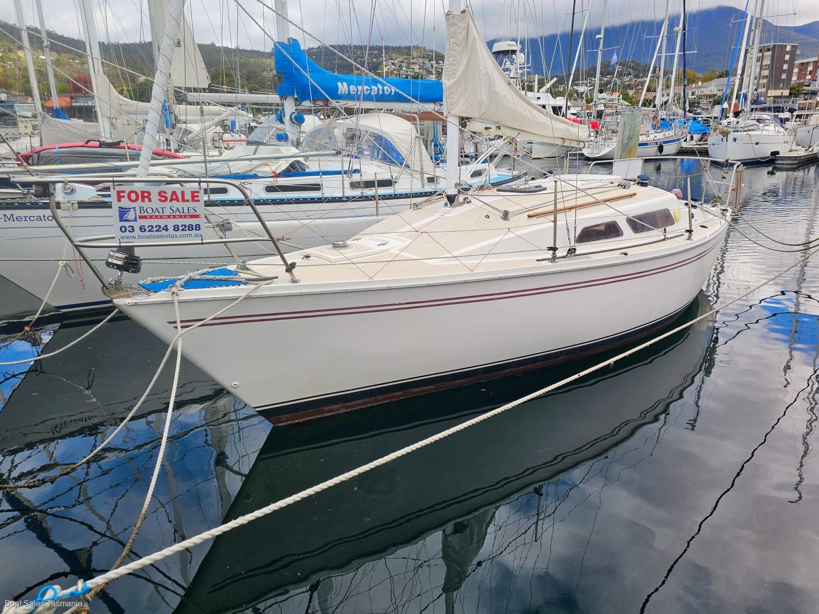 Northshore 27 Spinner