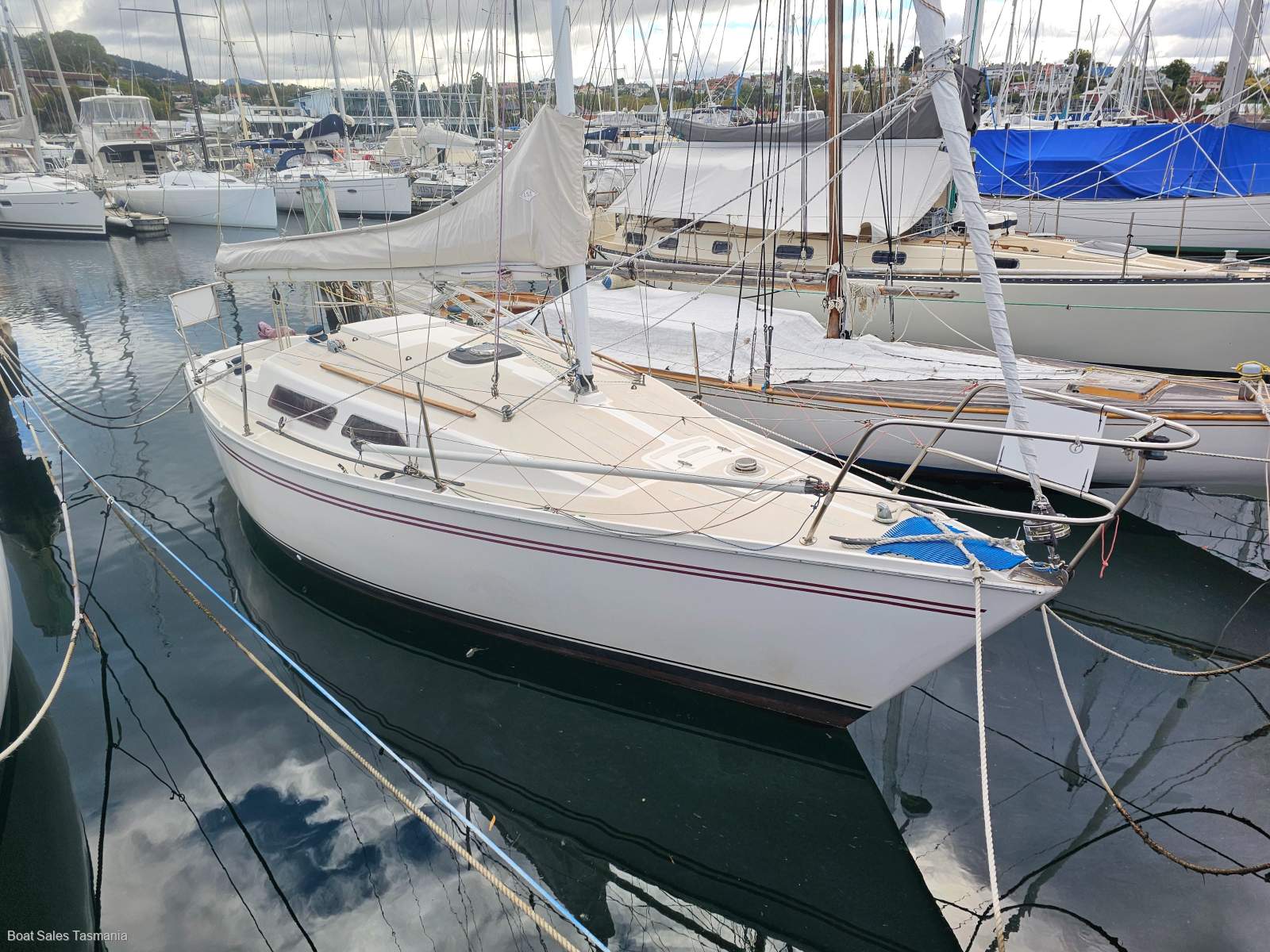 Northshore 27 Spinner