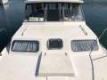 Mariner 34 Flybridge Cummins Twin Diesels Cheap Price (Sydney Harbour)