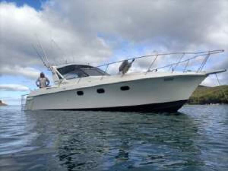 Genesis 320 European