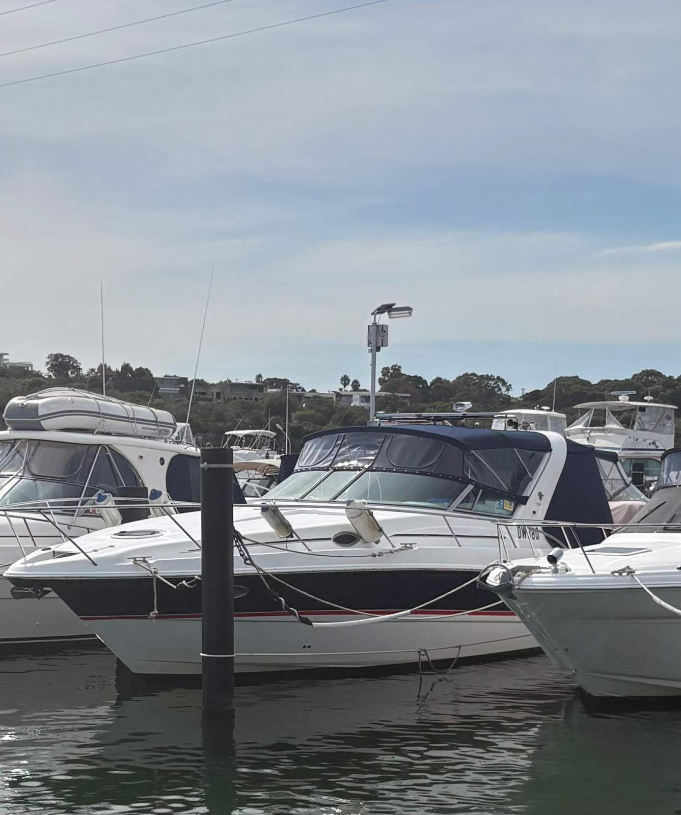 Mustang 3800 LE Sportscruiser