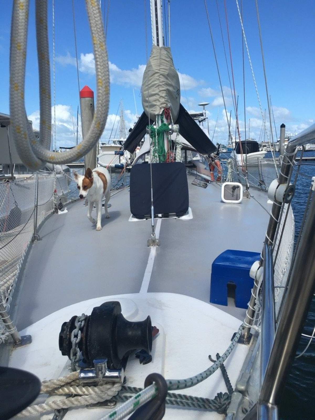 Lexcen 40 Miller Whitworth Sloop