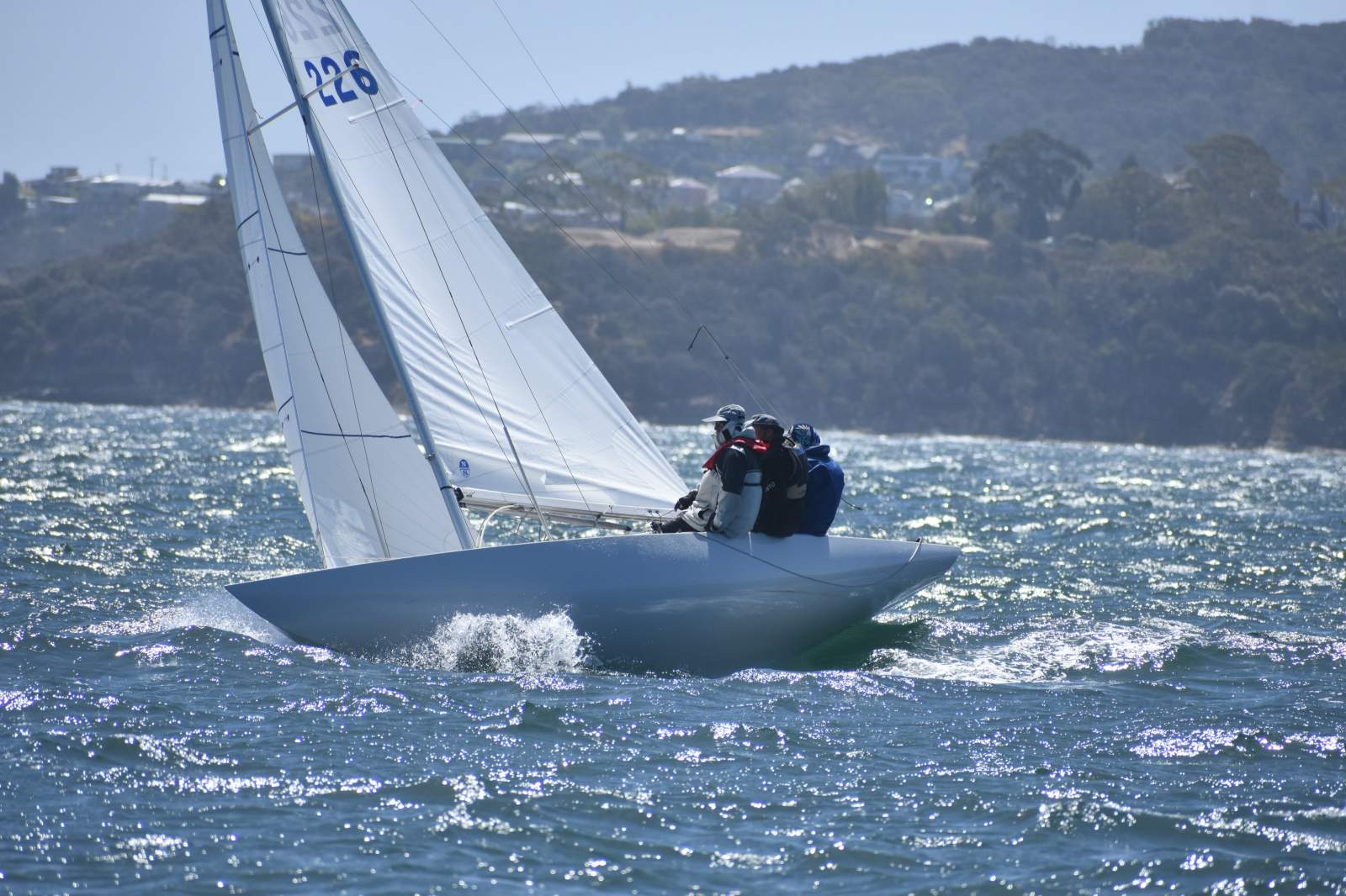 International Dragon Ridgeway - "Hooligan" AUS226