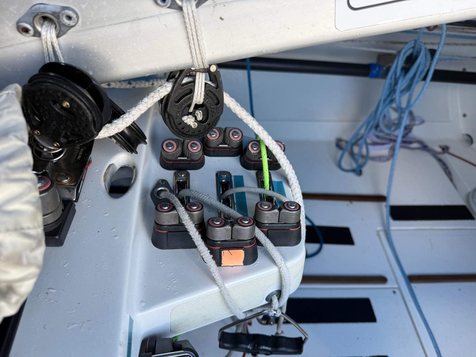 International Dragon Ridgeway &ndash; Hooligan AUS226