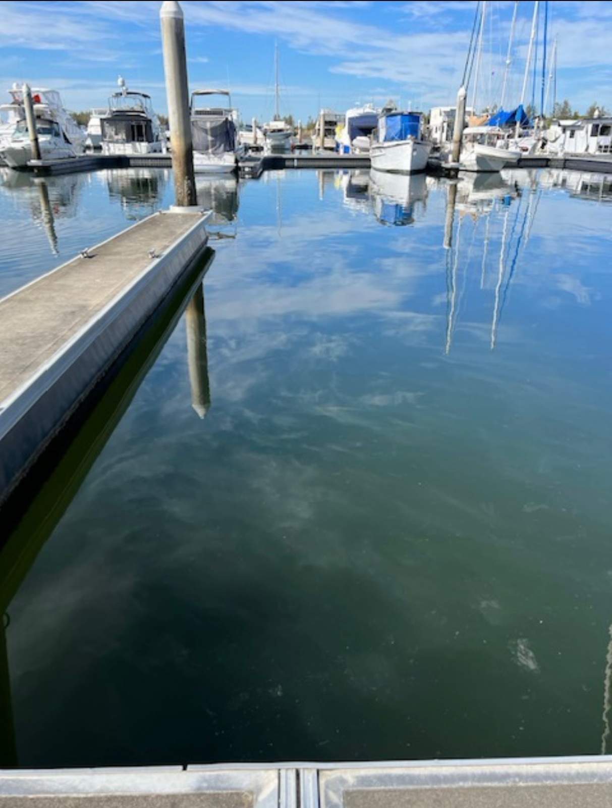 12m berth in Pacific Point, Stieglitz