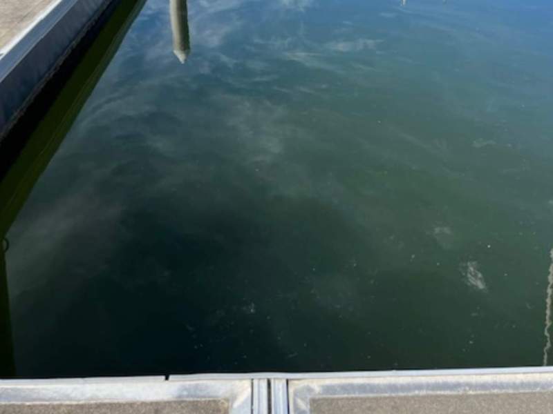 12m berth in Pacific Point, Stieglitz