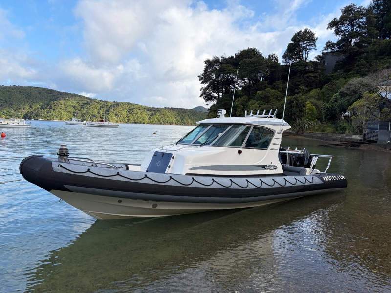 Rayglass Protector 850