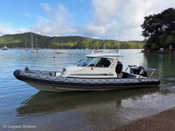 Rayglass Protector 850