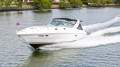 Mustang 4200 Sportscruiser