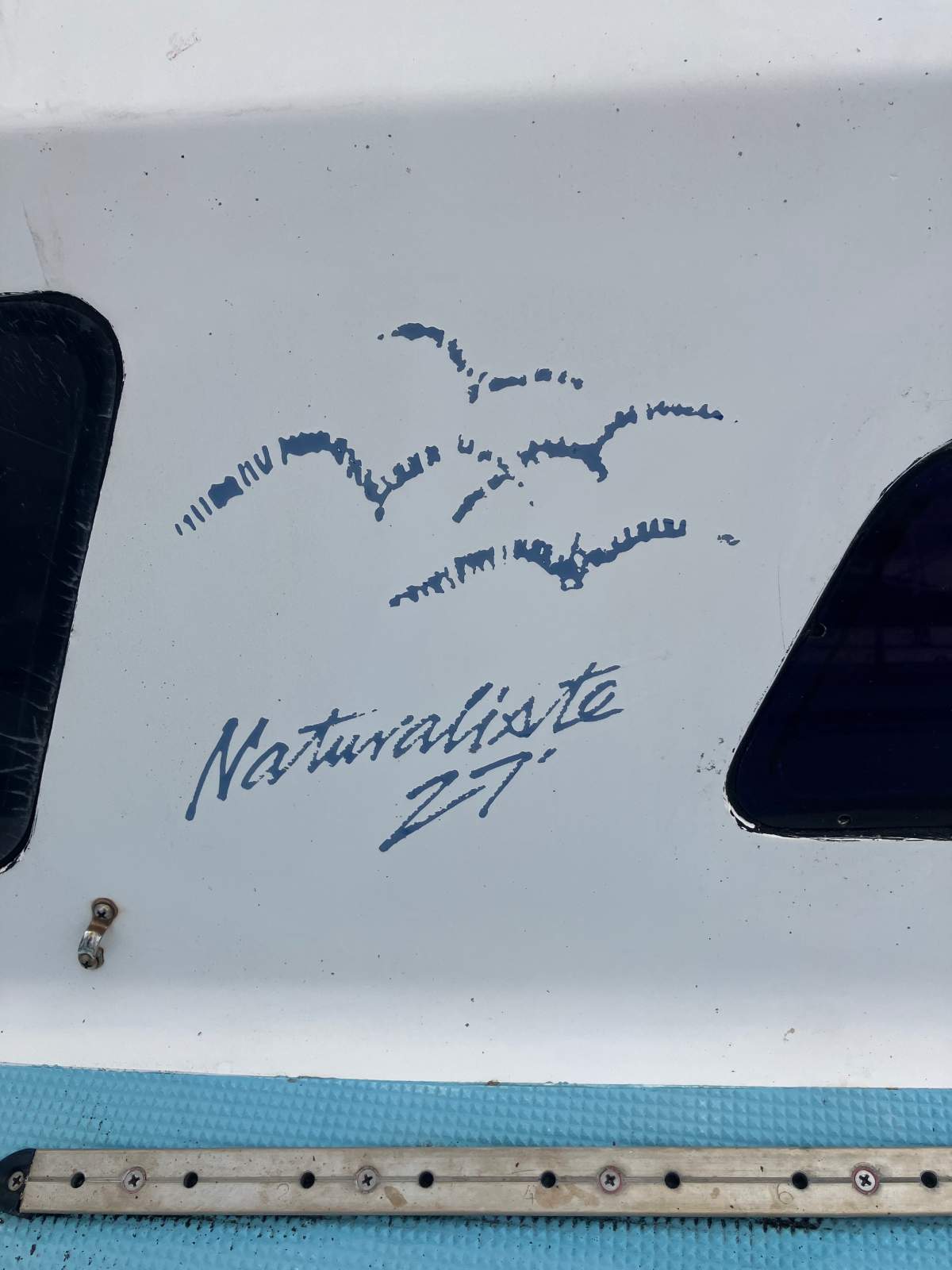 Naturaliste 27