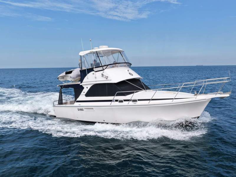 Bertram Caribbean 35