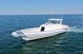 Cougar R11