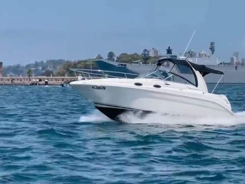 Sea Ray 260 Sundancer wild girl