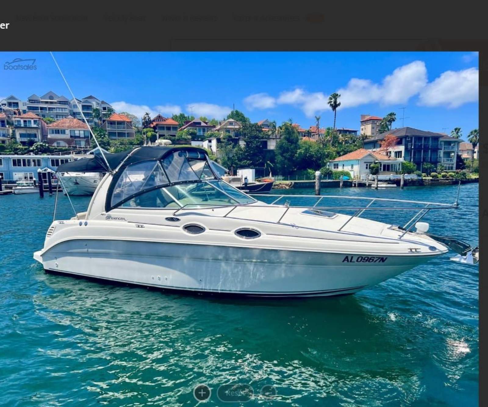 Sea Ray 260 Sundancer wild girl