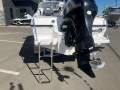 Revival 525 Runabout