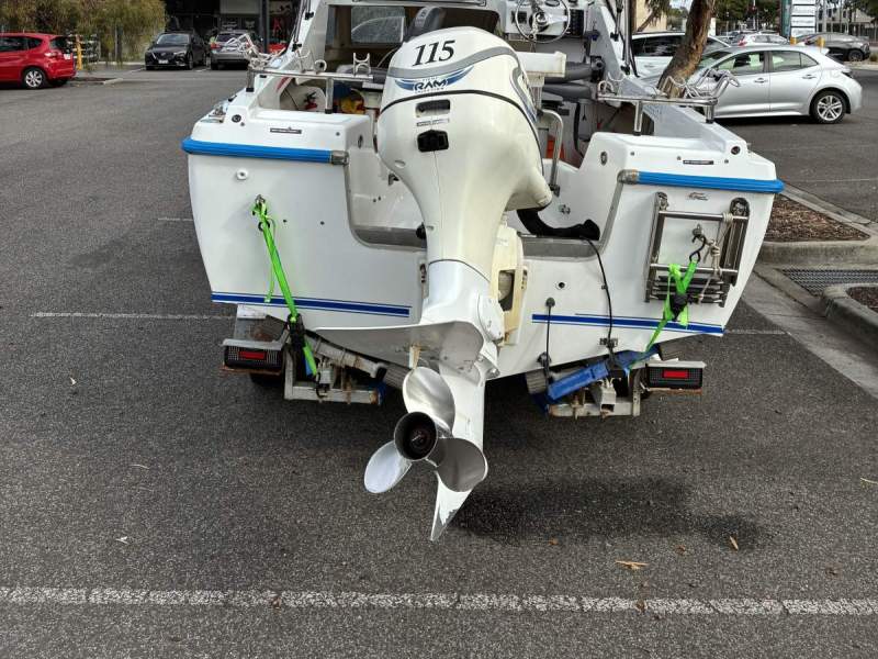 Caribbean Crestcutter