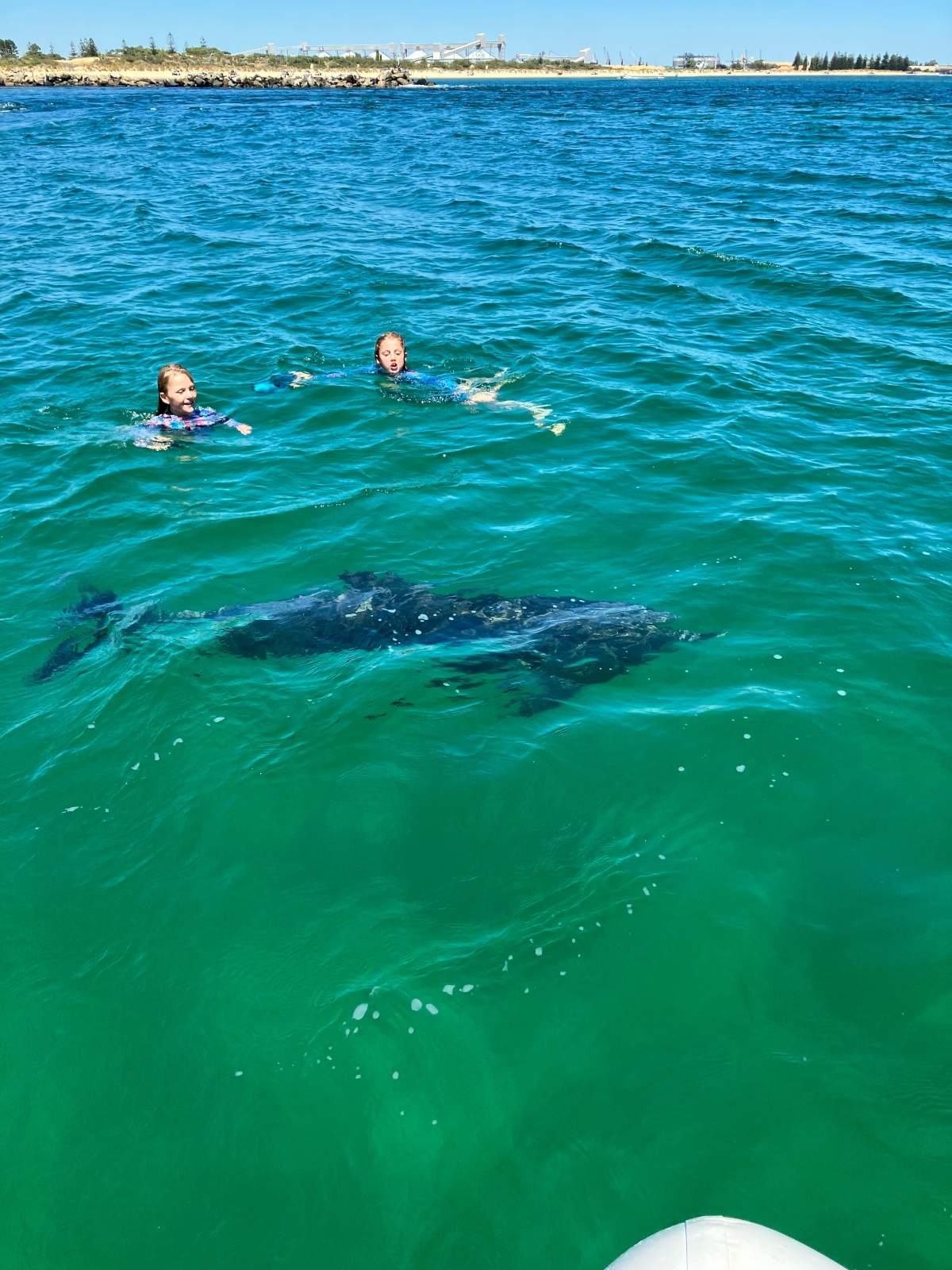 Zodiac Medline 7.5 Aluminium trailer