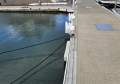 Orakei 25m Marina Berth D10