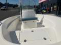 Alpha Craft 480 CC