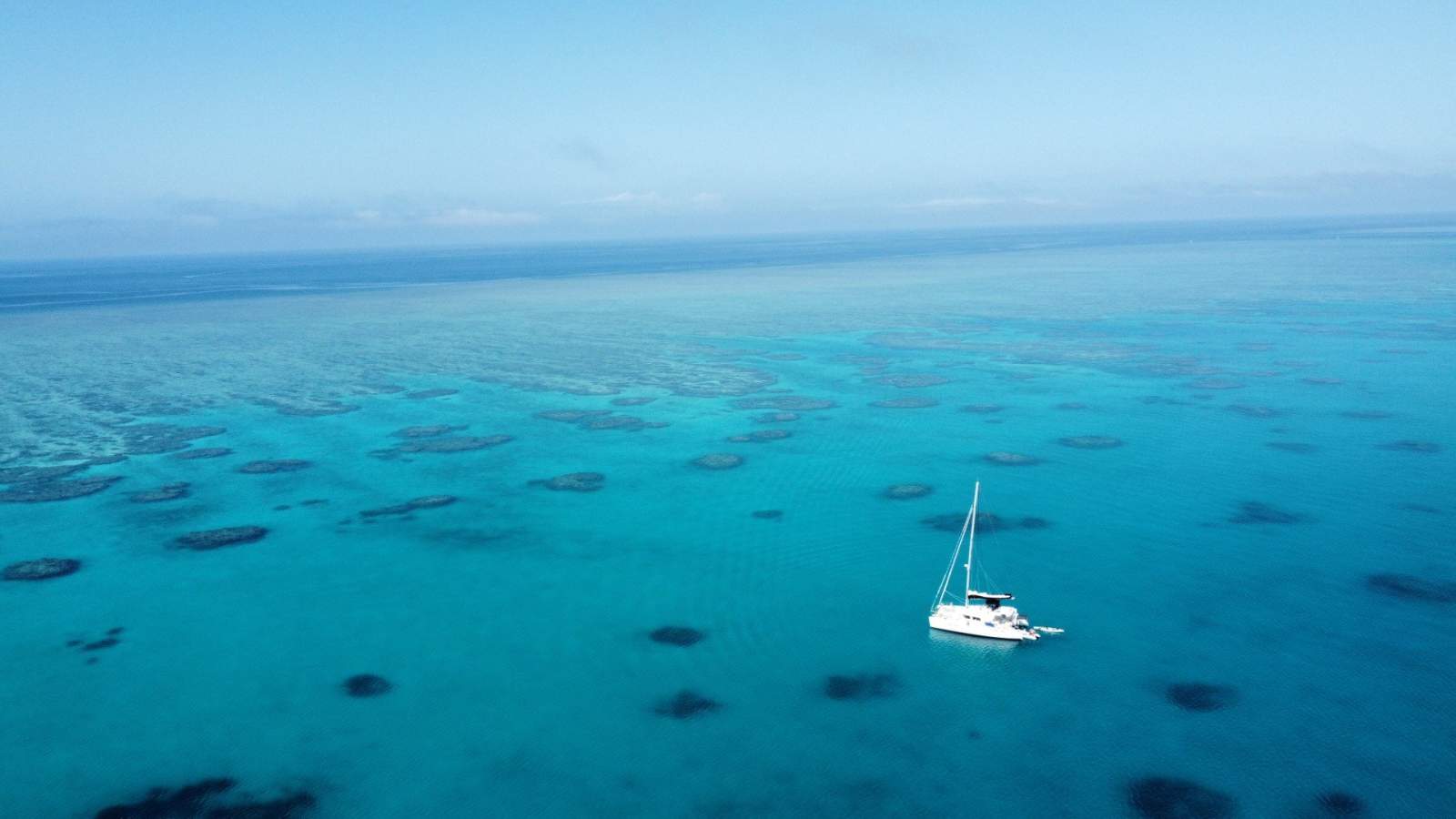 Lagoon 440 2010