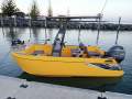 FatCat 4500 NEW FatCat 4500 Boat/Trailer/Motor Package