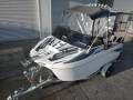 FatCat 4500 NEW FatCat 4500 Boat/Trailer/Motor Package