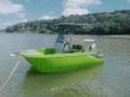FatCat 4500 NEW FatCat 4500 Boat/Trailer/Motor Package