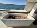 Marlin Broadbill 10m Fishing Boat