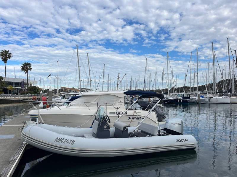 Zodiac Medline 580 2023