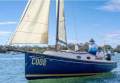 Cygnet 20 Trailer Sailer Dreamkumtrue