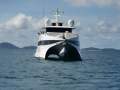 Incat Custom Hull Wave Piercing Catamaran
