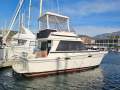 Mariner 3400 Flybridge "Springer"