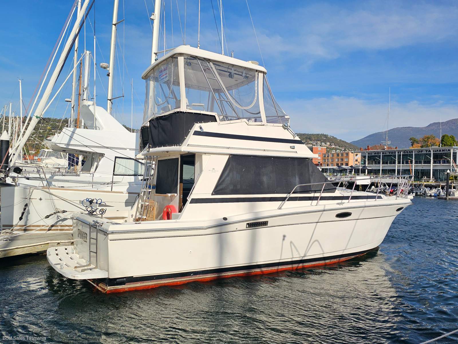 Mariner 3400 Flybridge Springer