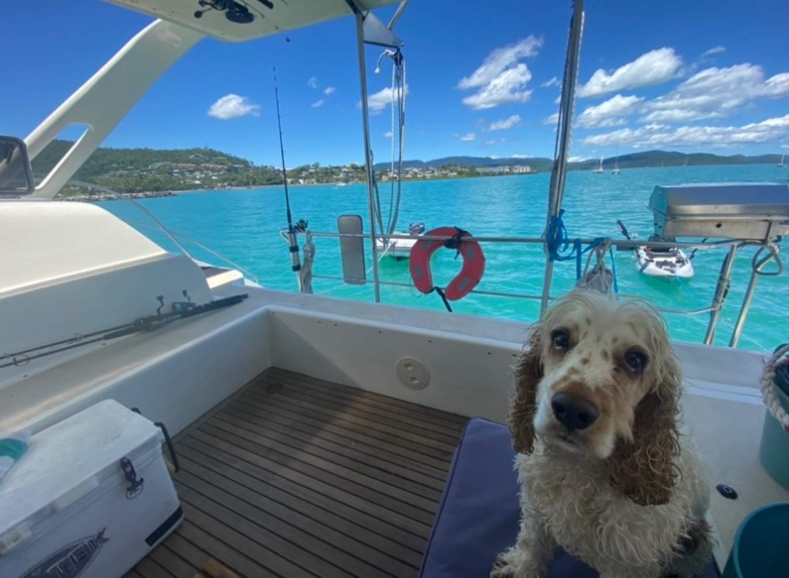 Brady 40 Catamaran Leisure or Liveaboard