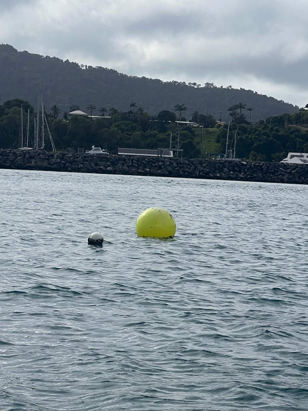 Mooring 30 Ton in Airlie Beach