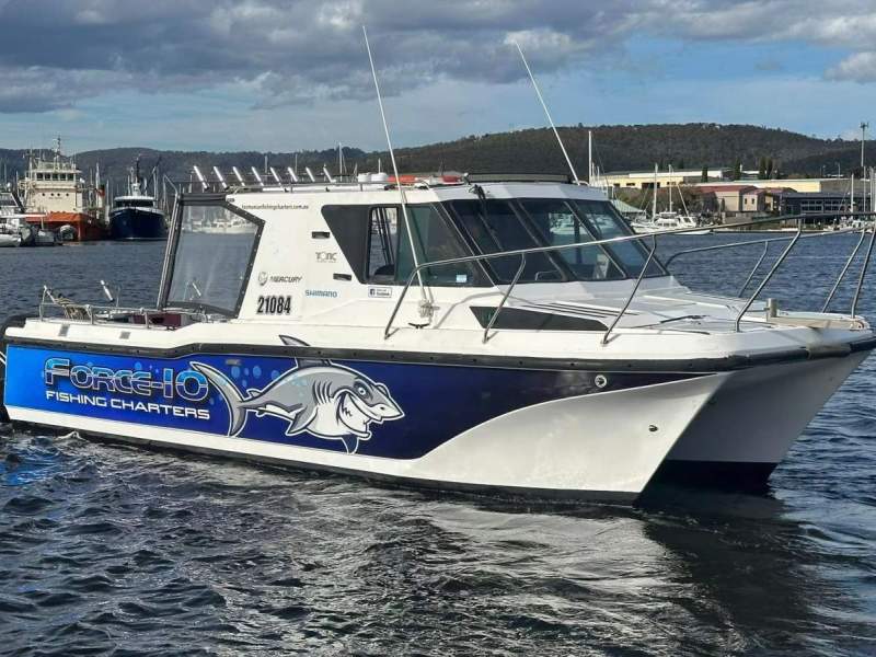 Cougar Cat 26