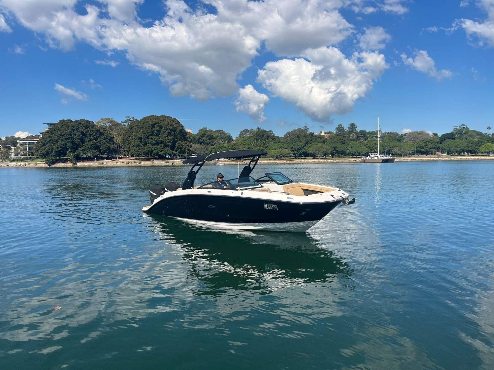 Sea Ray 290 SDX OB