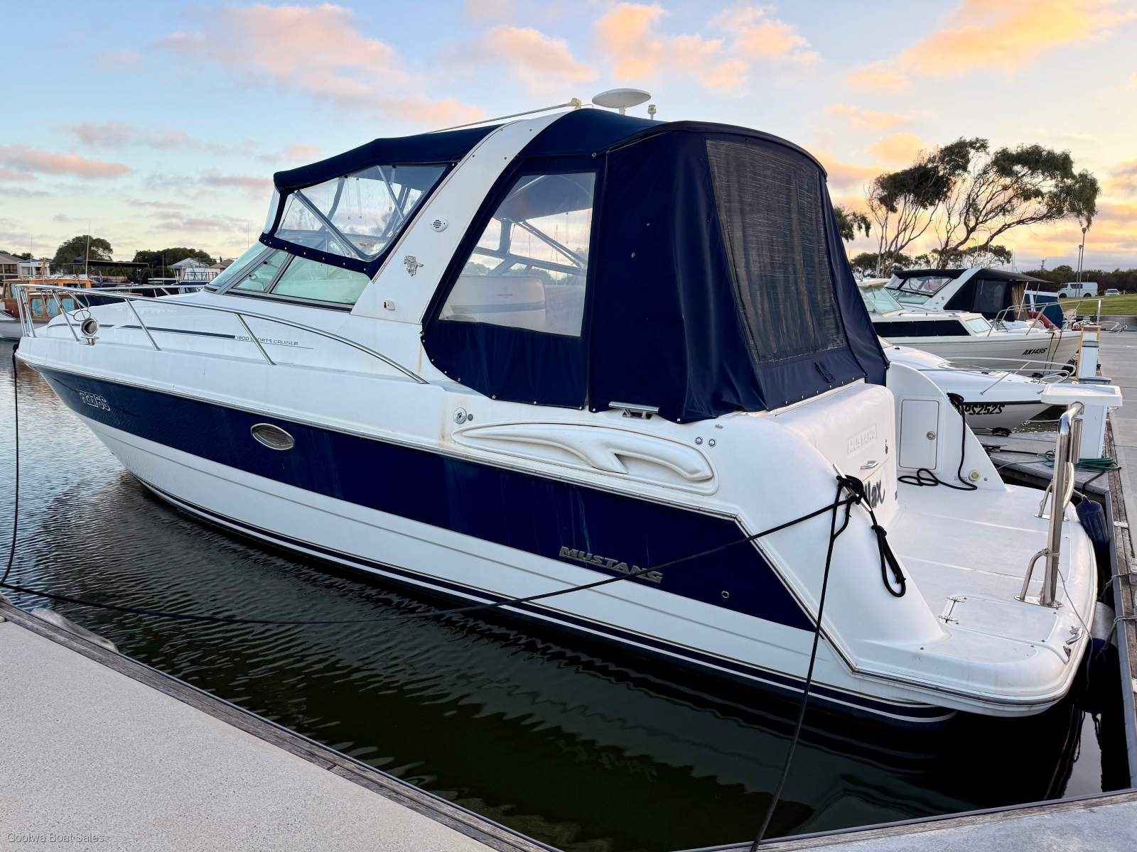 Mustang 3800 LE Sportscruiser