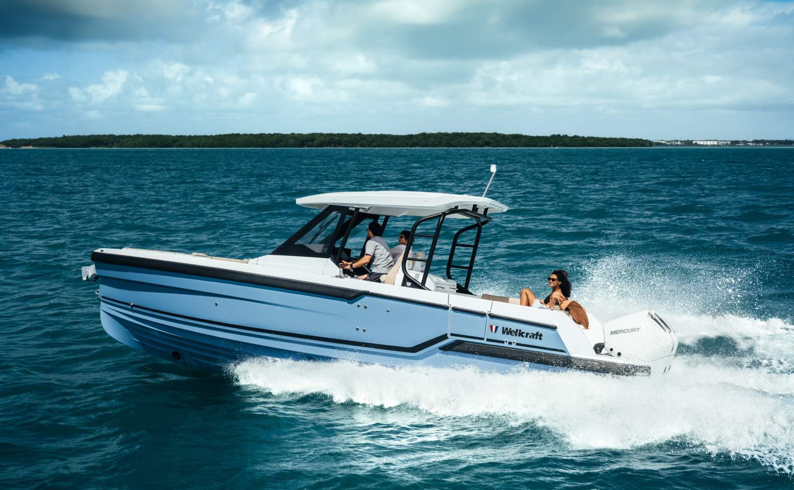 Wellcraft 28 T-Top