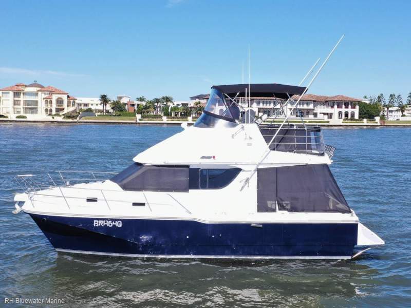 Cougar Cat 1060 Wide Body Custom