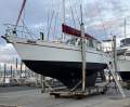 Breekveldt 43 Pilothouse - "AVIOR" - OWNER SAYS SELL
