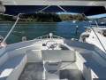 Aluminium Flybridge Cruiser 4E Survey