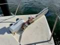 Jackson 40 Flybridge Cruiser