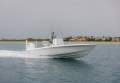 New Contender 24 Bay
