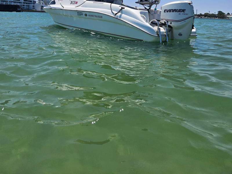 Haines Hunter Traveller TC200