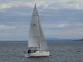 Jeanneau Sun Odyssey 33i