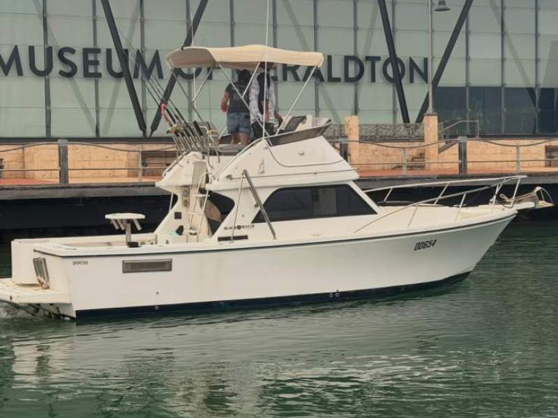 Black Watch 26 Sport Fish