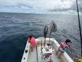 Black Watch 26 Sport Fish